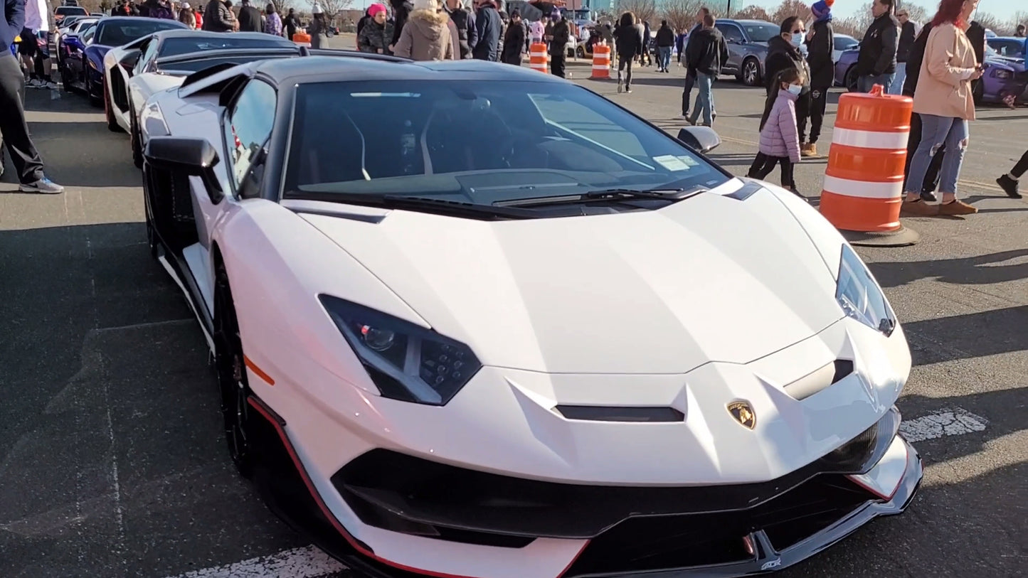 Lamborghini Tricolore Carbon Fiber License Plate Frame