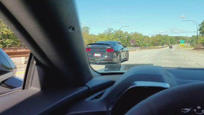 SHELBY Carbon Fiber License Plate Frame